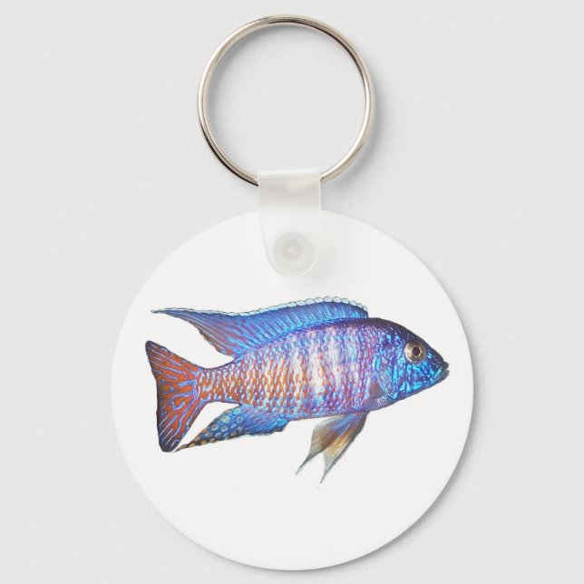 Chaveiro Aulonocara (Frente)