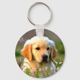 Chaveiro Austin o Labrador dourado