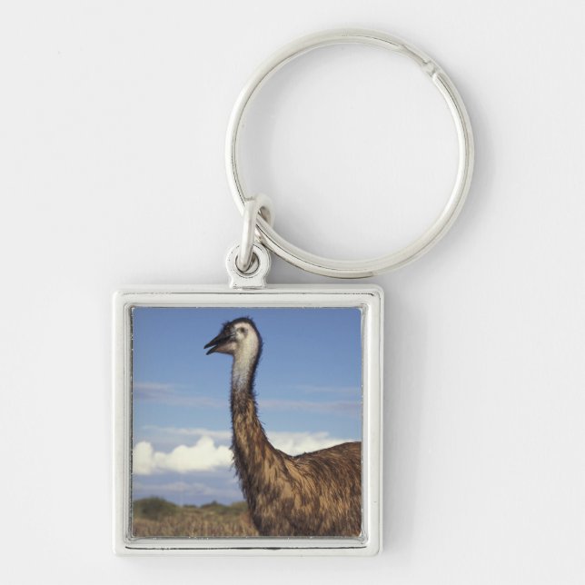Chaveiro Austrália, Austrália Ocidental. Emu (Dromaius (Frente)