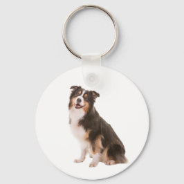 Chaveiro Australian Shepherd
