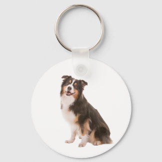 Chaveiro Australian Shepherd
