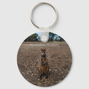 Chaveiro Australian Wallaby Eating Sticks, Keyring