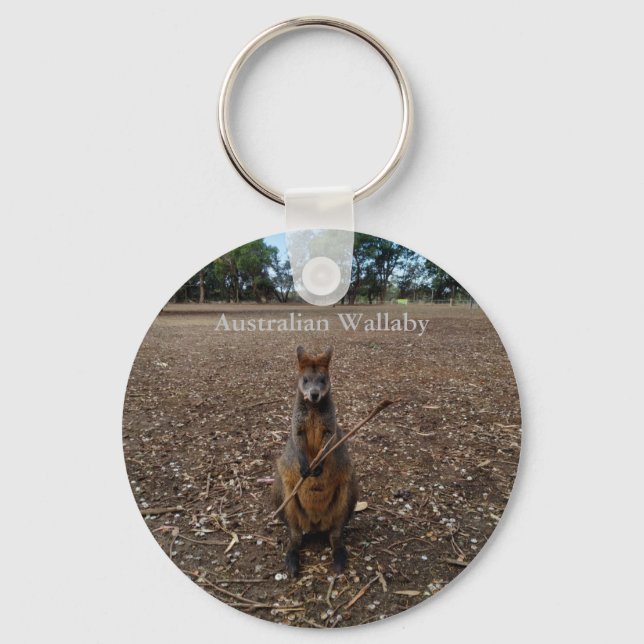 Chaveiro Australian Wallaby Eating Sticks, Keyring (Frente)