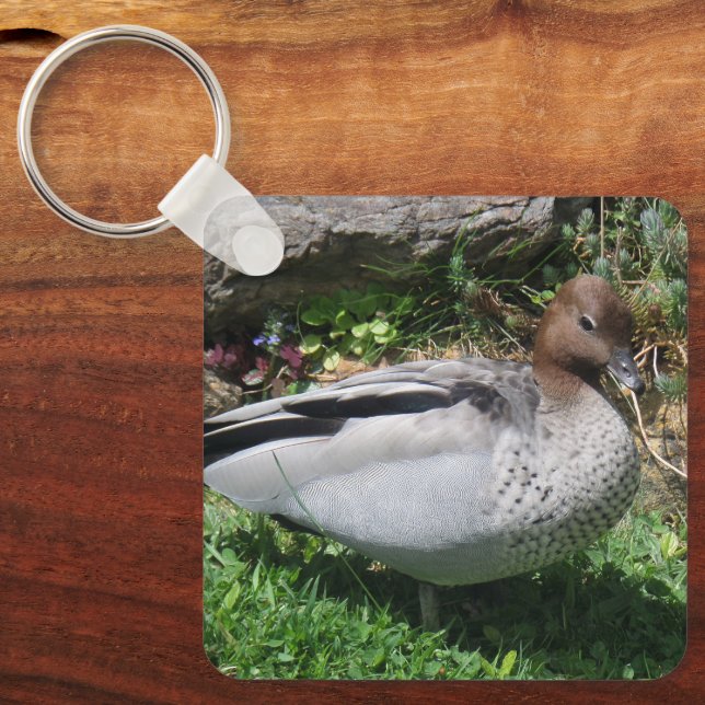 Chaveiro Australian Wood Duck in Tranquil Garden (Frente)