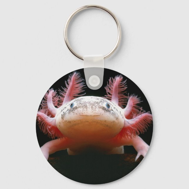 Chaveiro Axolotl Axolotl.png (Frente)