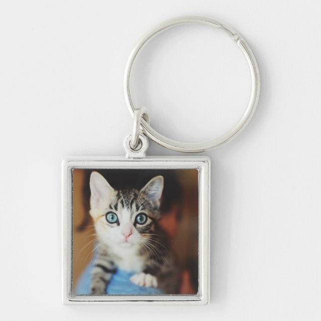 Chaveiro Azul brilhante gatinho Eyed (Frente)