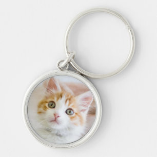 Chaveiro Azul doce gatinho Eyed