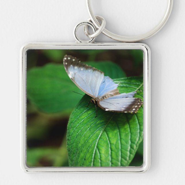 Chaveiro Azul Morpho 112 (Frente)
