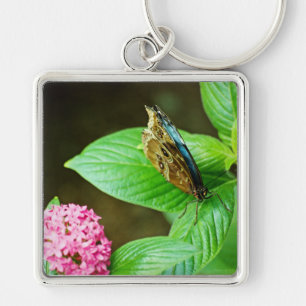 Chaveiro Azul Morpho 143