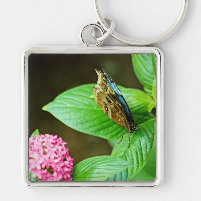 Chaveiro Azul Morpho 143 (Frente)