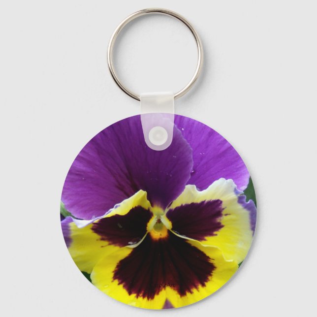 Chaveiro b1 Pansor Púrpura Amarelo Roxo (Frente)