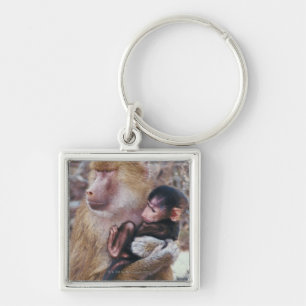 Chaveiro Babuíno da mãe e do bebê