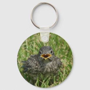 Chaveiro Baby Bluebird