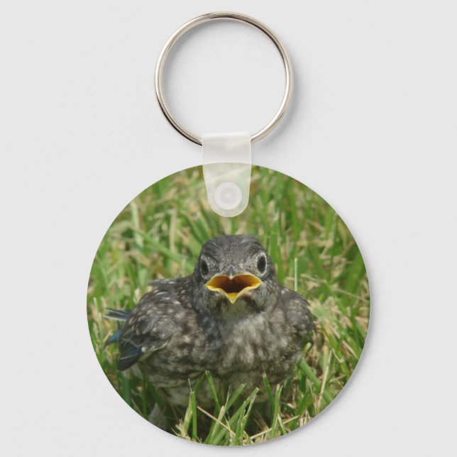 Chaveiro Baby Bluebird (Frente)