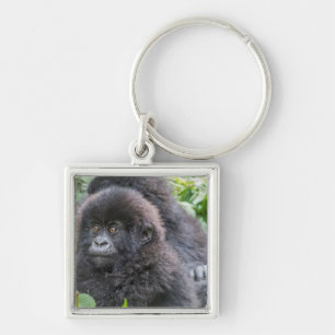 Chaveiro Baby Mountain Gorilla