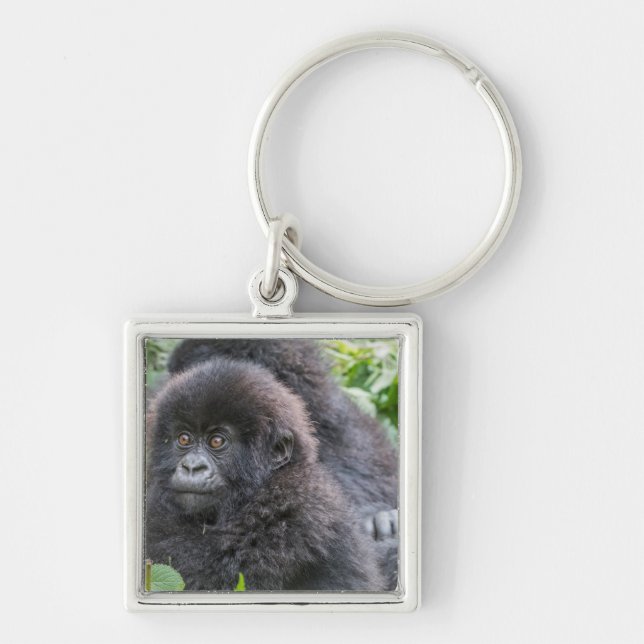 Chaveiro Baby Mountain Gorilla (Frente)