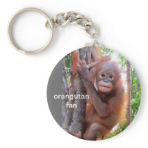 Baby Orangutan em árvore