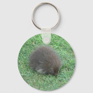 Chaveiro Baby Porcupine