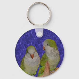 Chaveiro Baby Quaker Parrot Pair