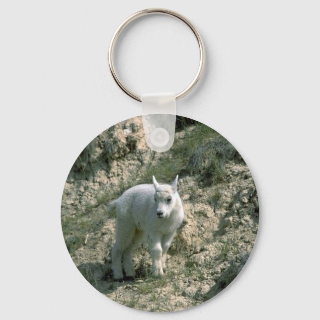 Chaveiro Baby Rocky Mountain Goat (Frente)