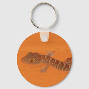 Chaveiro Baby Tokay Gecko