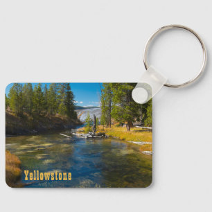 Chaveiro Bacia do Alto Geyser, Rio Firehole, Yellowstone