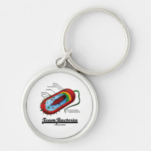 Chaveiro Bactérias da equipe (Prokaryote)