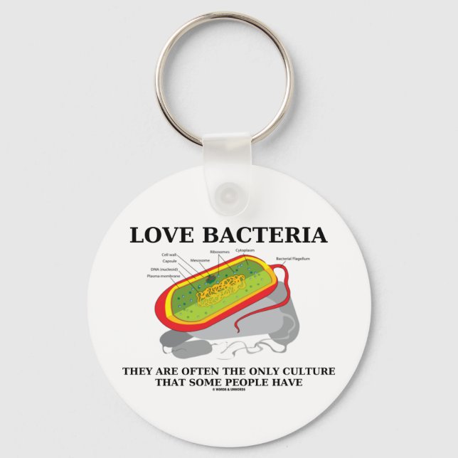 Chaveiro Bacterias do Amor Apenas Cultura Algumas Pessoas T (Frente)