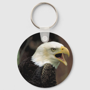 Chaveiro Bald Eagle