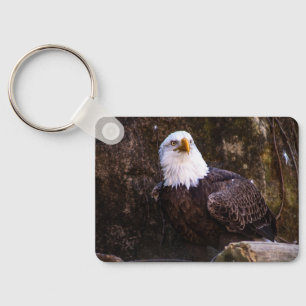 Chaveiro Bald Eagle