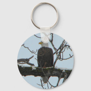Chaveiro Bald Eagle