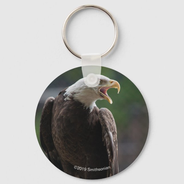 Chaveiro Bald Eagle Calling (Frente)