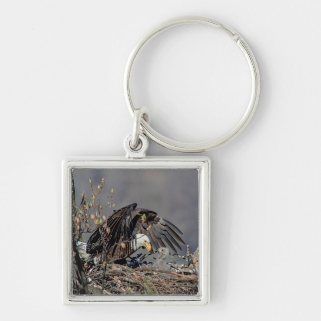 Chaveiro Bald Eagle com seu bebê (Frente)