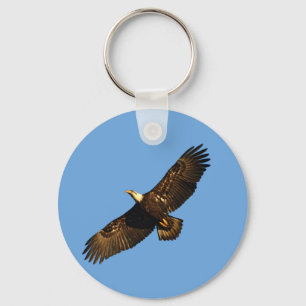 Chaveiro Bald Eagle Soaring 2