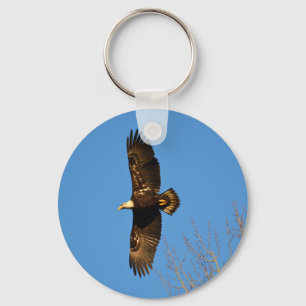 Chaveiro Bald Eagle Soaring Over Trees