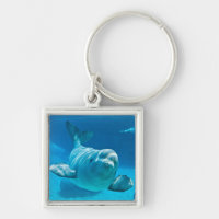 Baleia da beluga