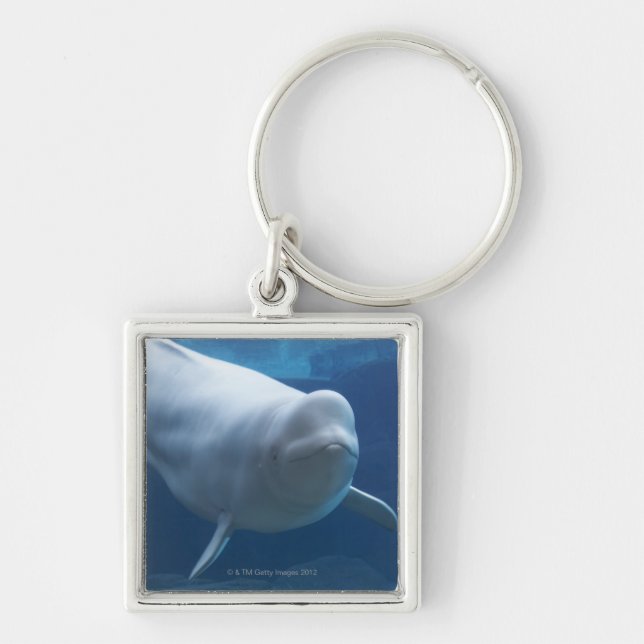 Chaveiro Baleia da beluga (leucas do Delphinapterus) (Frente)