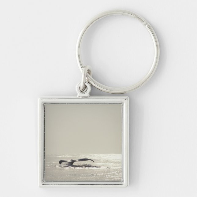 Chaveiro Baleia de Humpback, cauda sobre a superfície da (Frente)