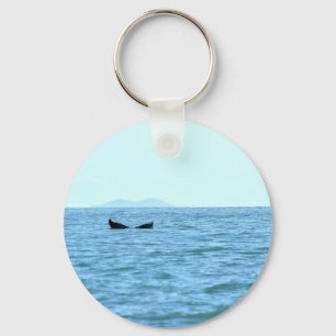 CHAVEIRO BALEIA DE HUMPBACK MACKAY QUEENSLAND AUSTRÁLIA