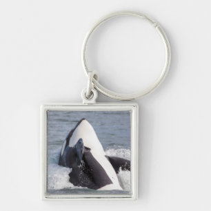Chaveiro Baleia Orca saltando