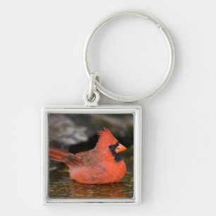 Chaveiro Banho cardeal masculino do norte