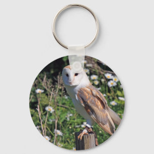 Chaveiro Barn Owl