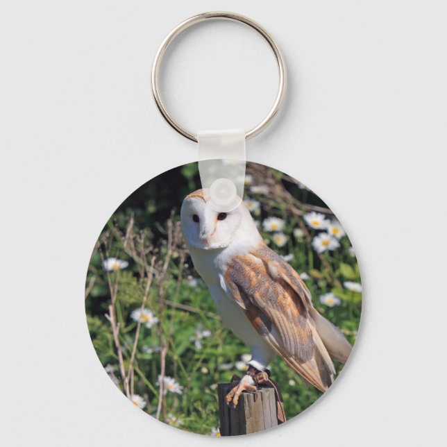 Chaveiro Barn Owl (Frente)