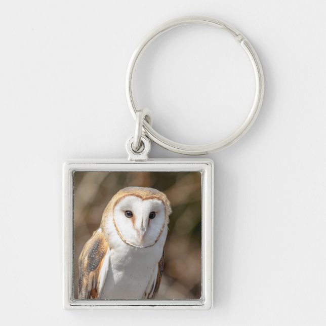 Chaveiro Barn Owl (Frente)