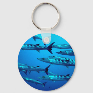 Chaveiro barracuda mergulho mar profundo água oceano tropic