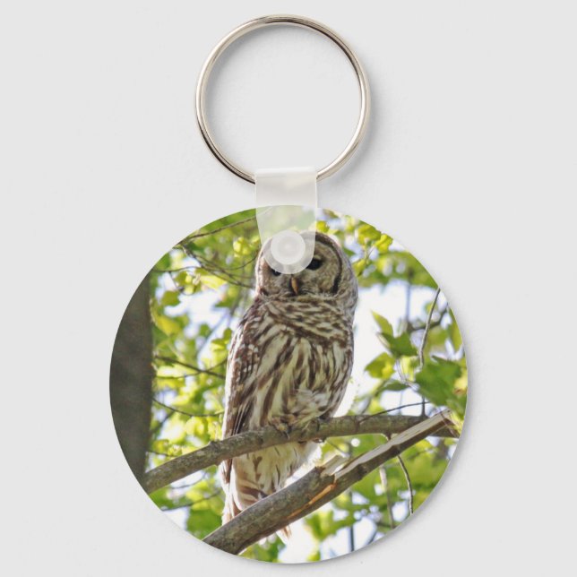 Chaveiro Barred Owl (Frente)