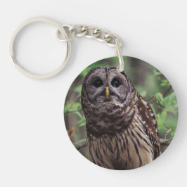 Chaveiro Barred Owl