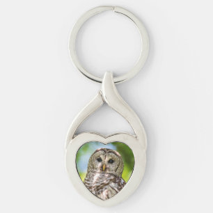 Chaveiro Barred Owl