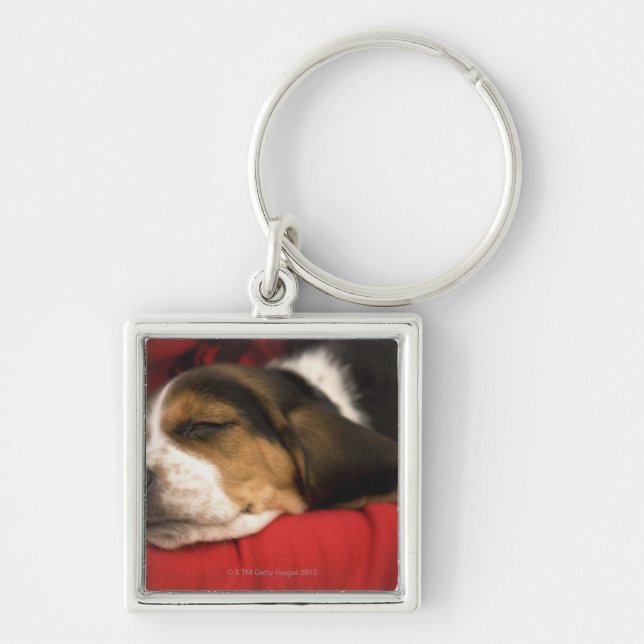 Chaveiro Bashaw, Alberta, Canadá (Frente)