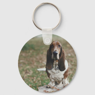Chaveiro Basset Hound